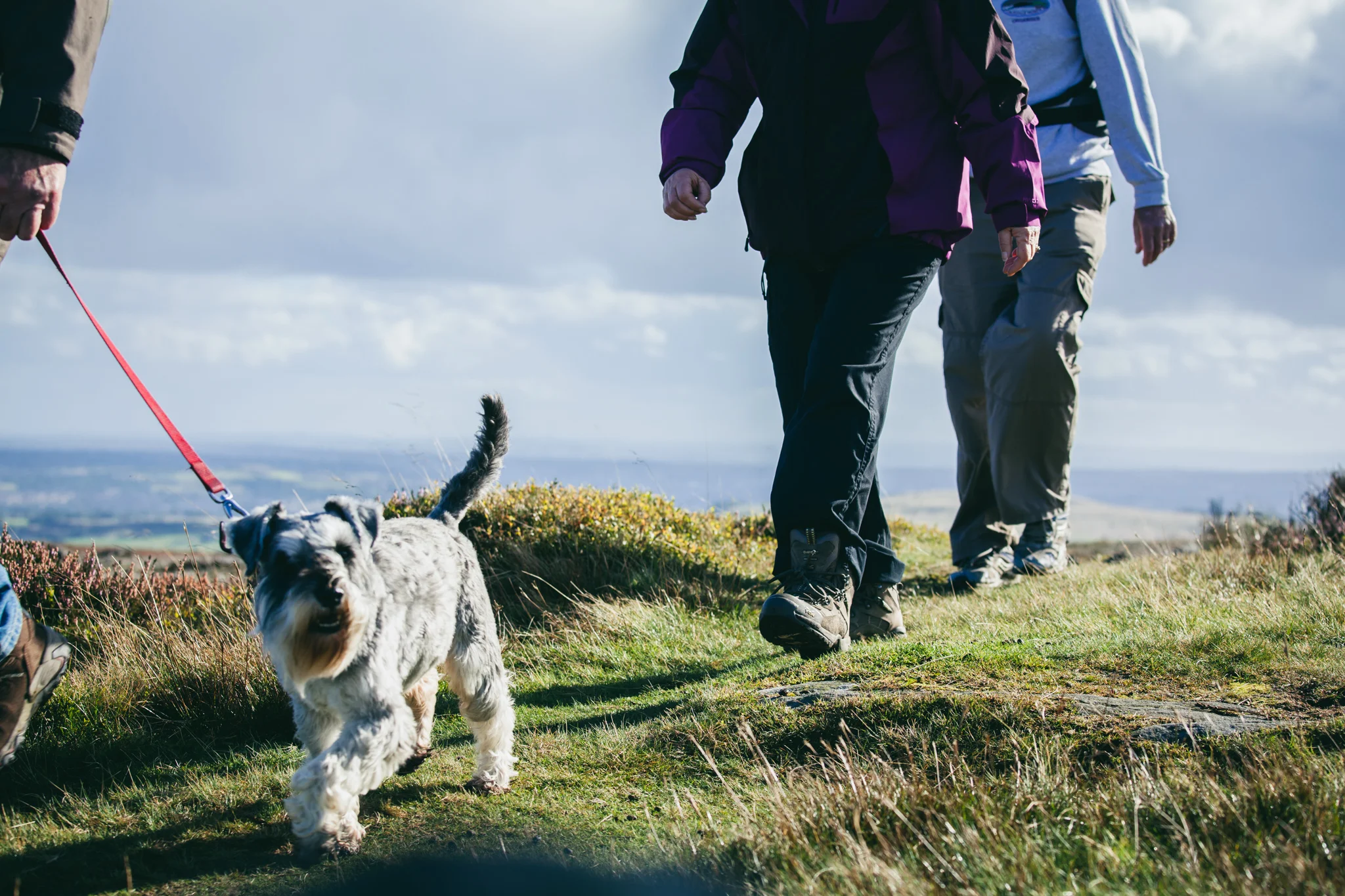 ©TomWoollard_Walkers_Are_Welcome-editorial-lifestyle-hikers-walking-dog-sunny-day-countryside.jpg