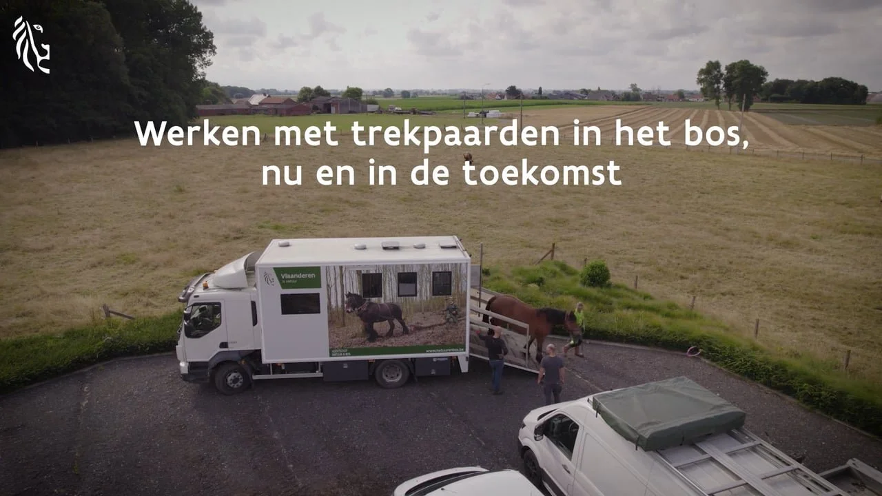 Werken met trekpaarden in het bos