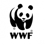 WWF3_0.JPG