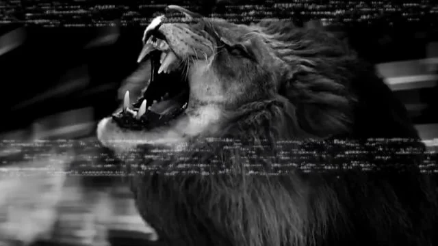 Channel O Theme Piece