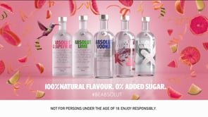 ABSOLUT VODKA Humming Bird