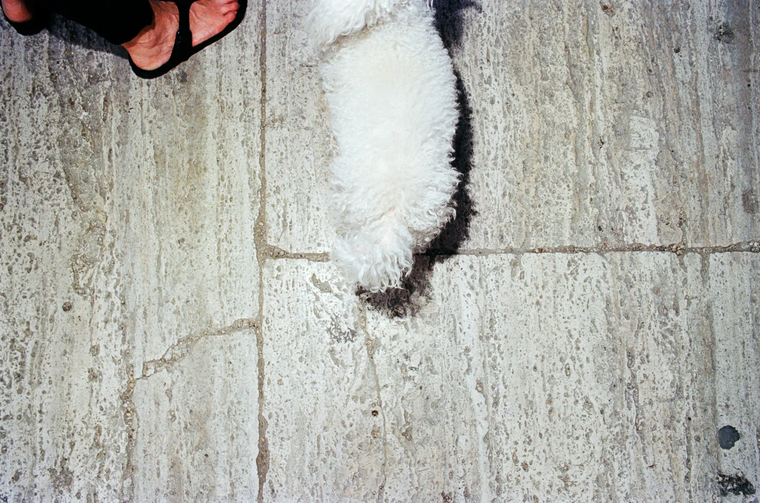 05 Ektar 35mm 5.19.jpg
