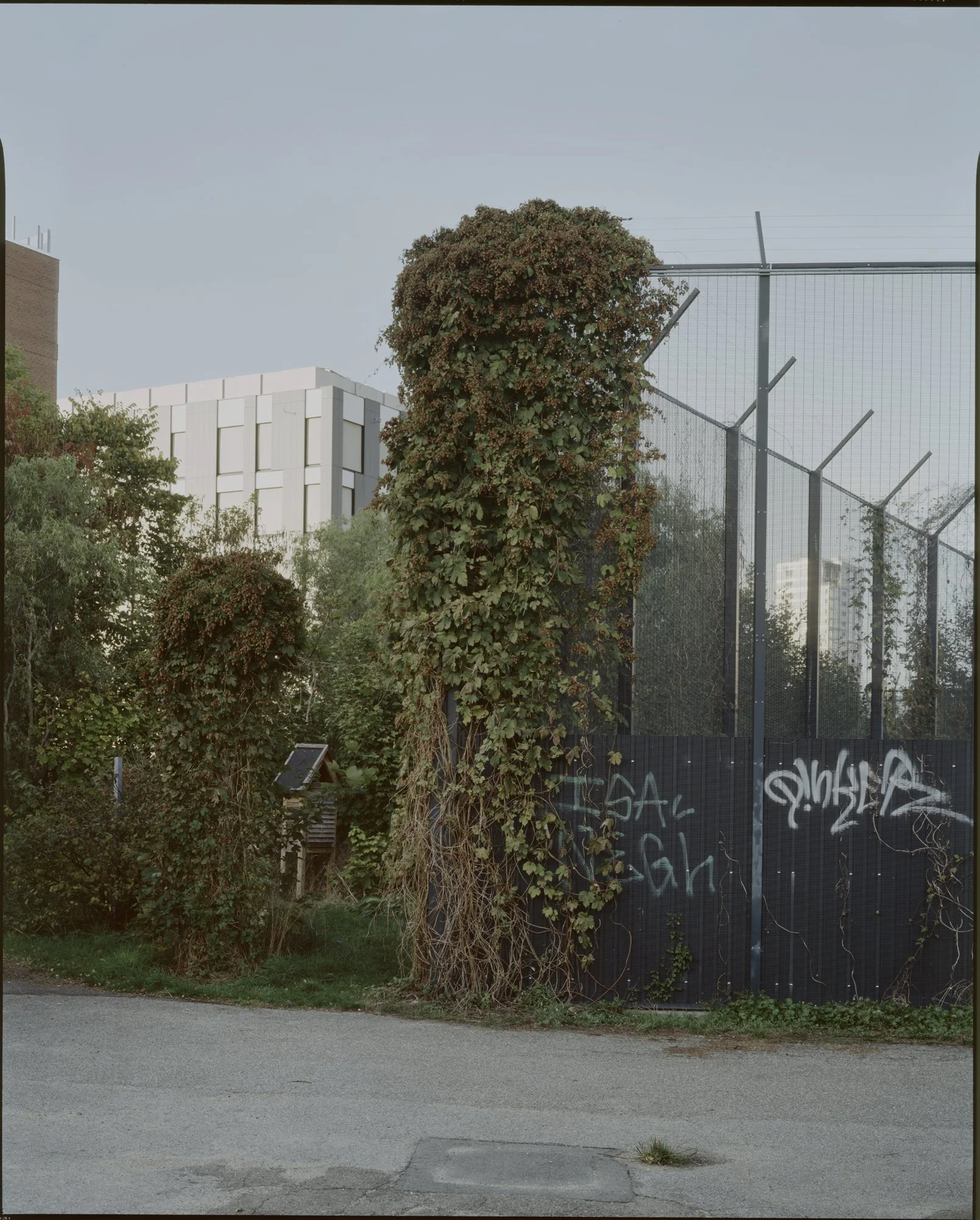810 Sønderbro.jpg