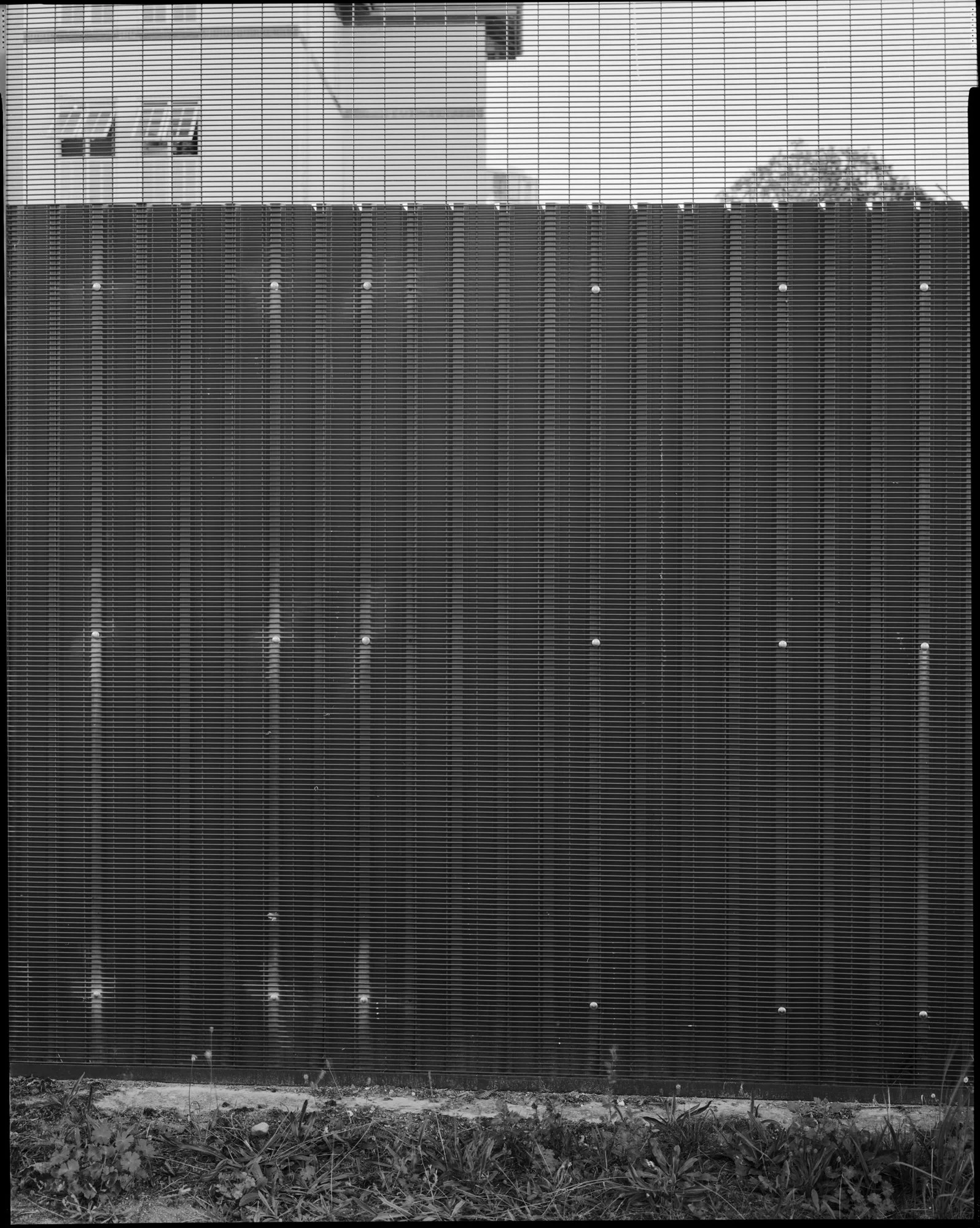 810 Gitter.jpg