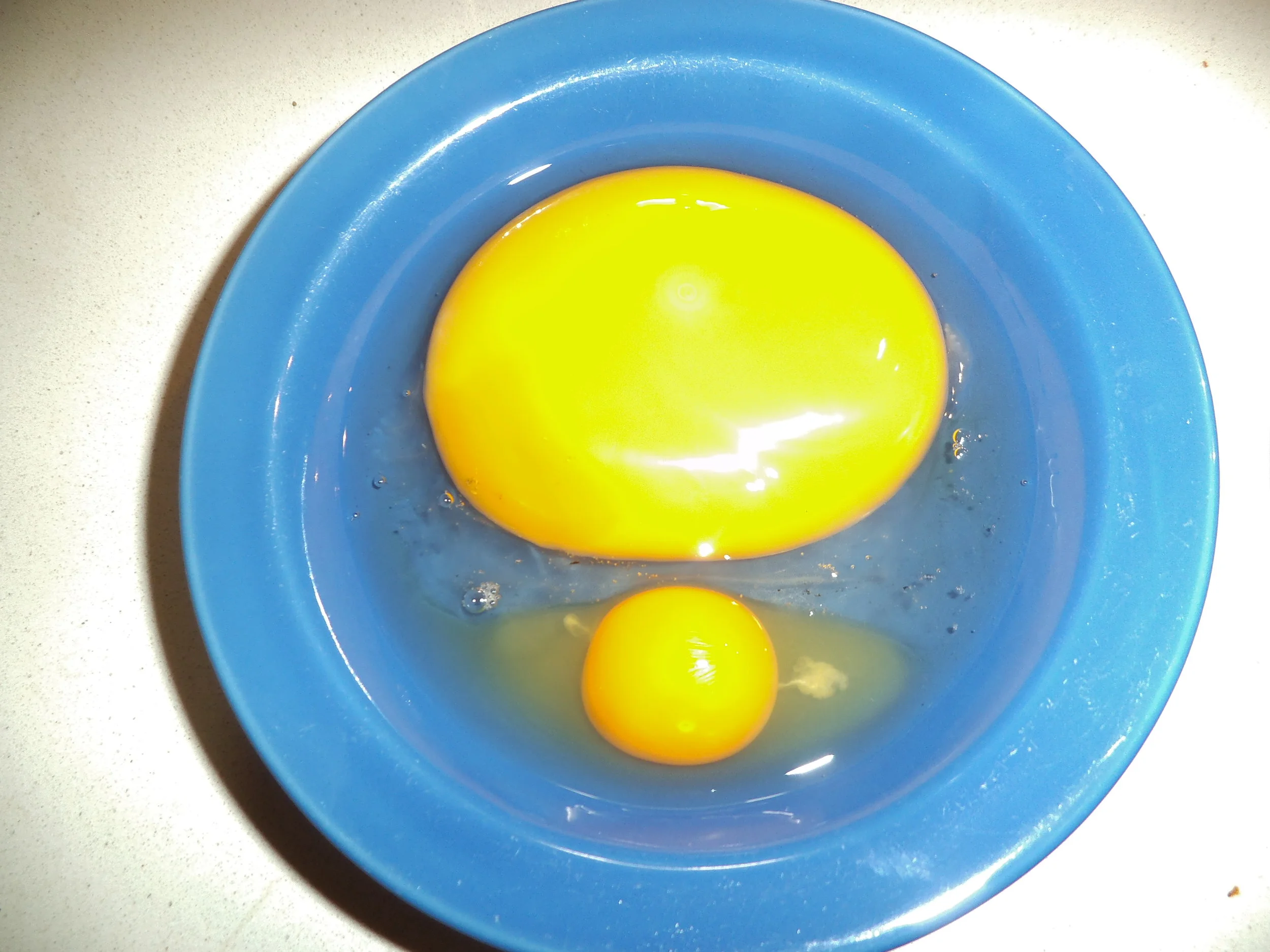 DSCF2302.JPG