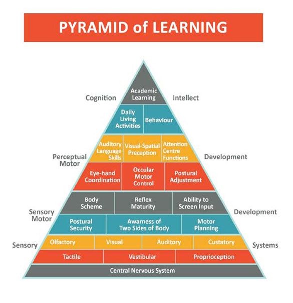 6b41bbc15aa9a0f9bb81eccb63ec1bfa--learning-pyramid-sensory-system.jpg