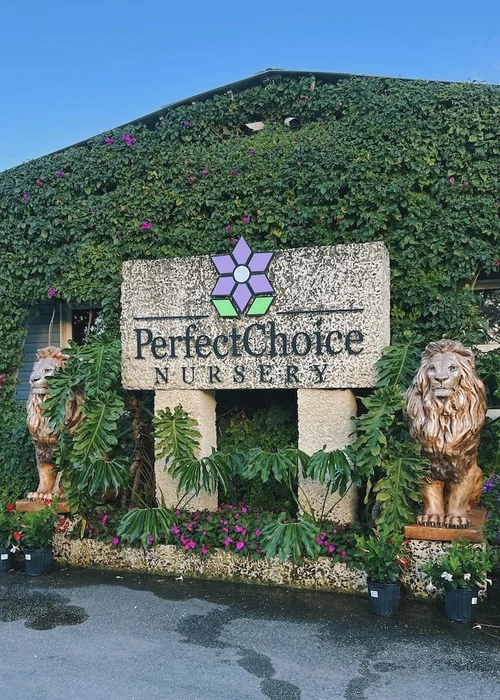 Contact — Perfect Choice Nursery