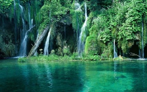 Discover phu quoc national park