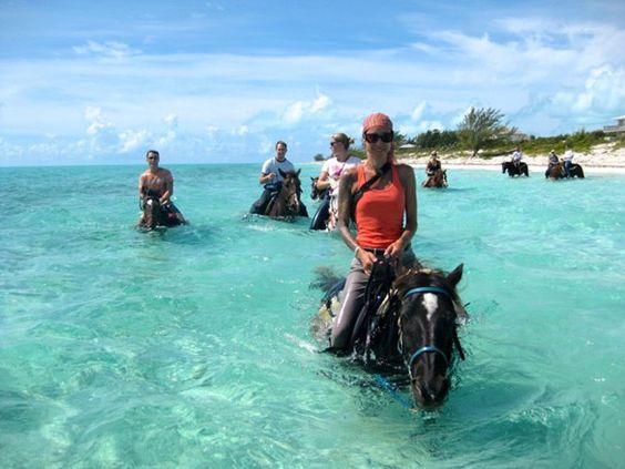 Horse Riding