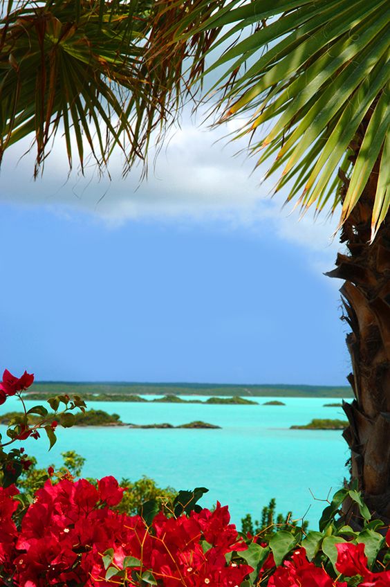 Scenery
