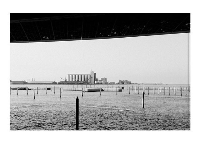 Reminded me a little of Venice, @louvreabudhabi #louvreabudhabi #unitedarabemirates #abudhabi