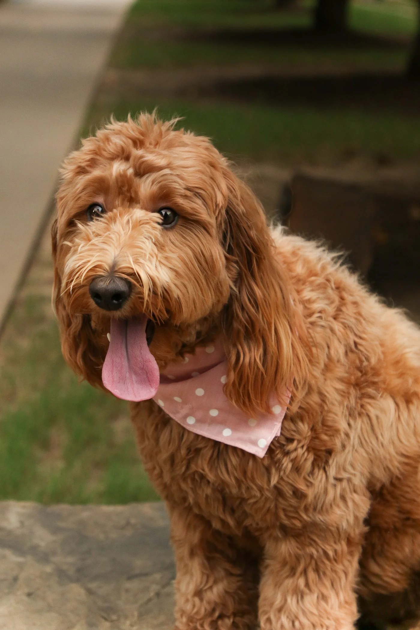 Damas_family_9525-8917 (1).jpg