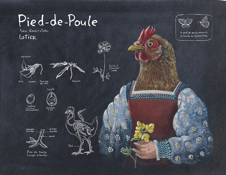 PIED-DE-POULE_lotier_HD.jpg