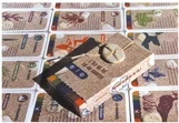 jeu-de-cartes_1.jpg