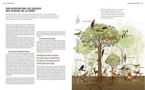 51RWitzocsL.jpg