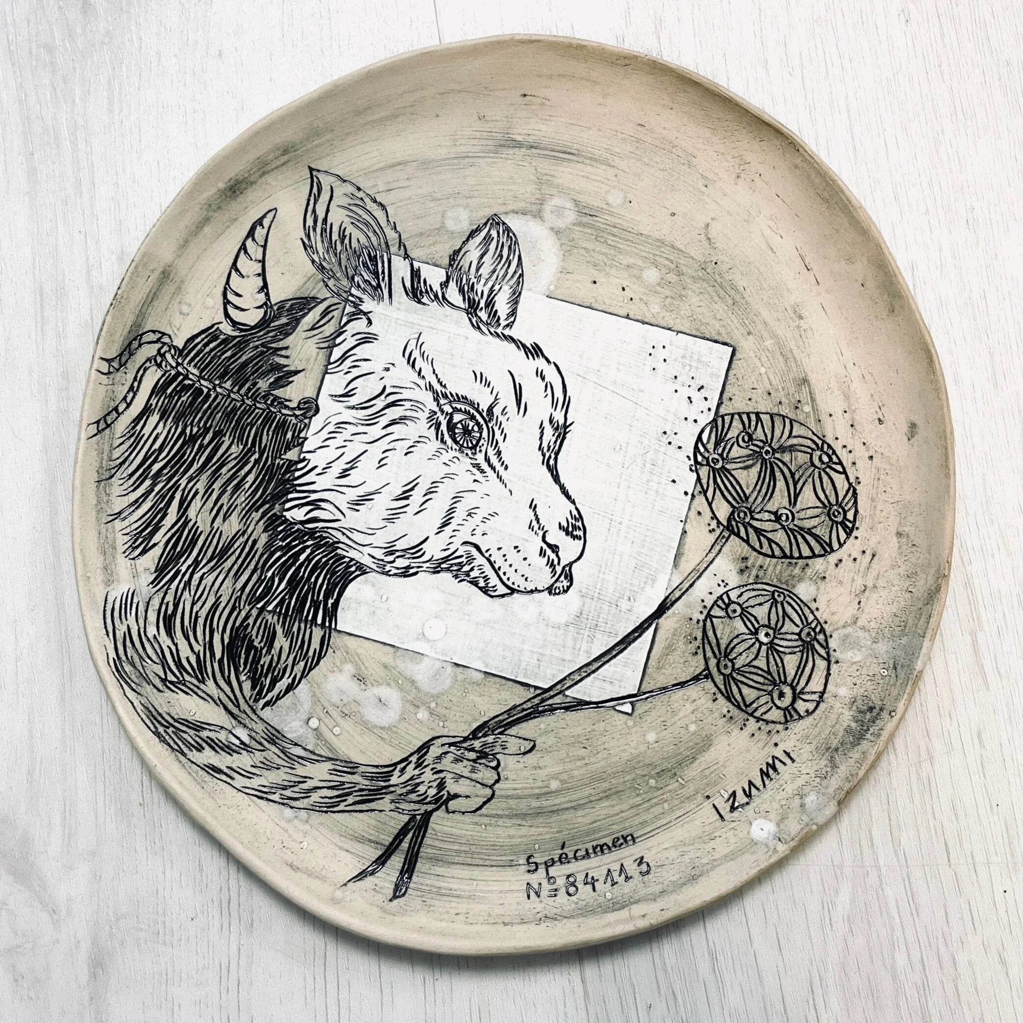 SPÉCIMEN N°: 84113