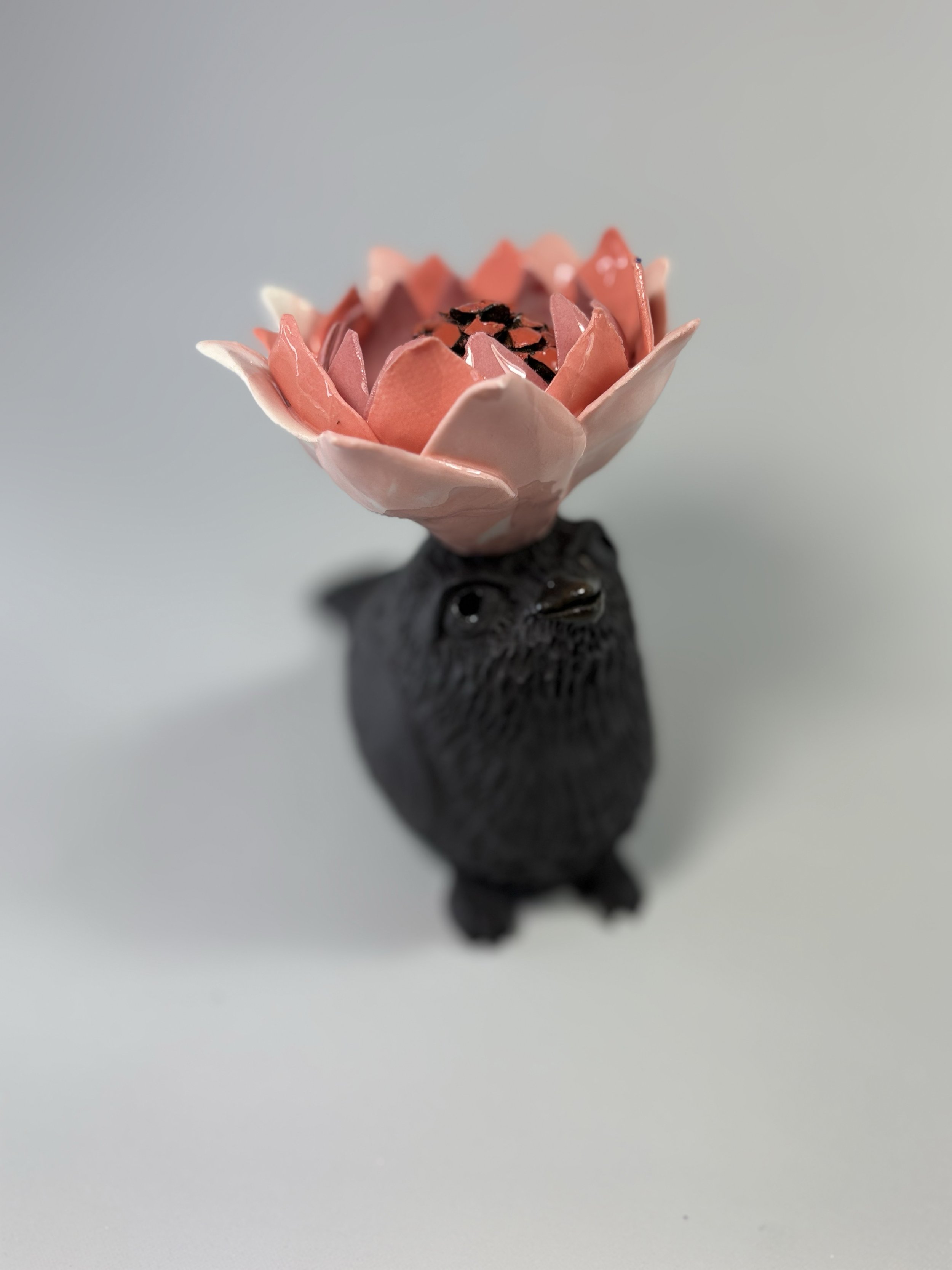 TERRE NOIRE porteur oiseau 3.jpg