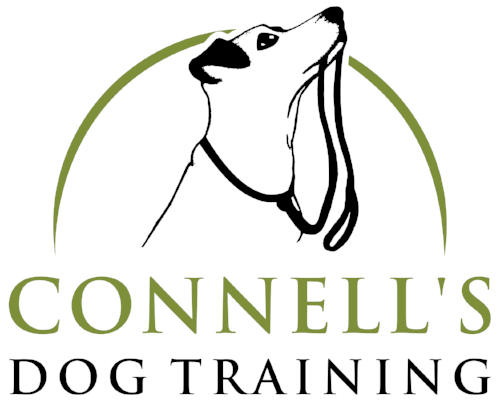 logo for site.png