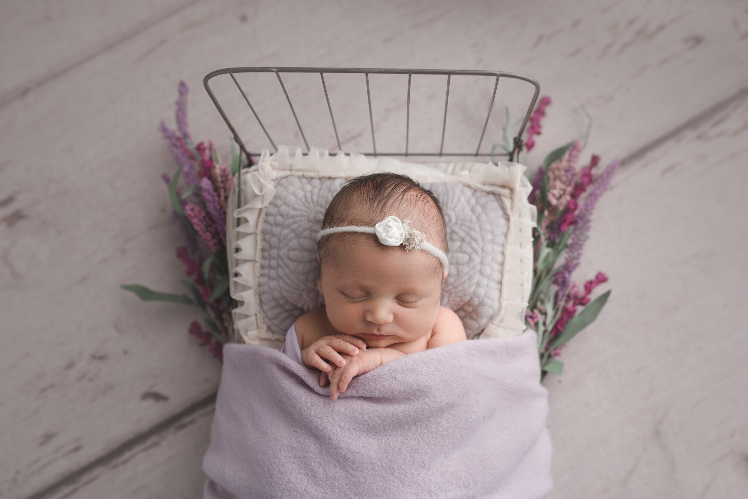 Makenna ~ Maple Grove, MN ~ Newborn Photographer 