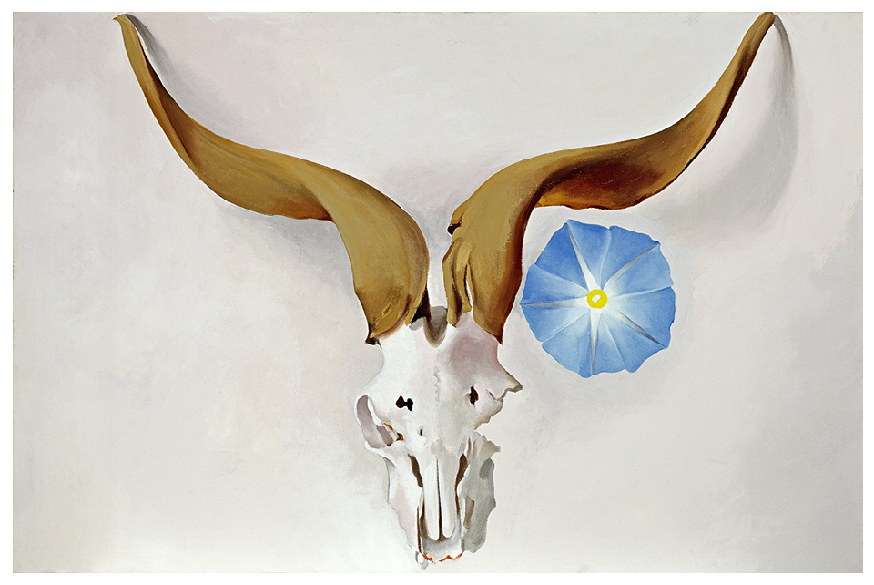 Ram's Head, Blue Morning Glory; 1938