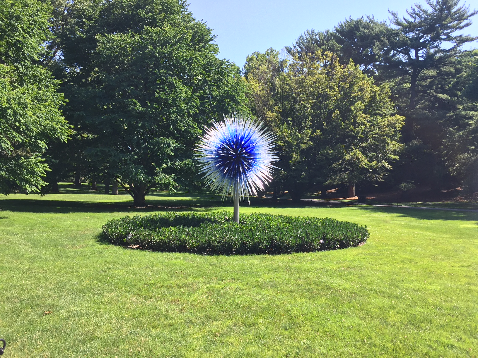 Sapphire Star, 2017