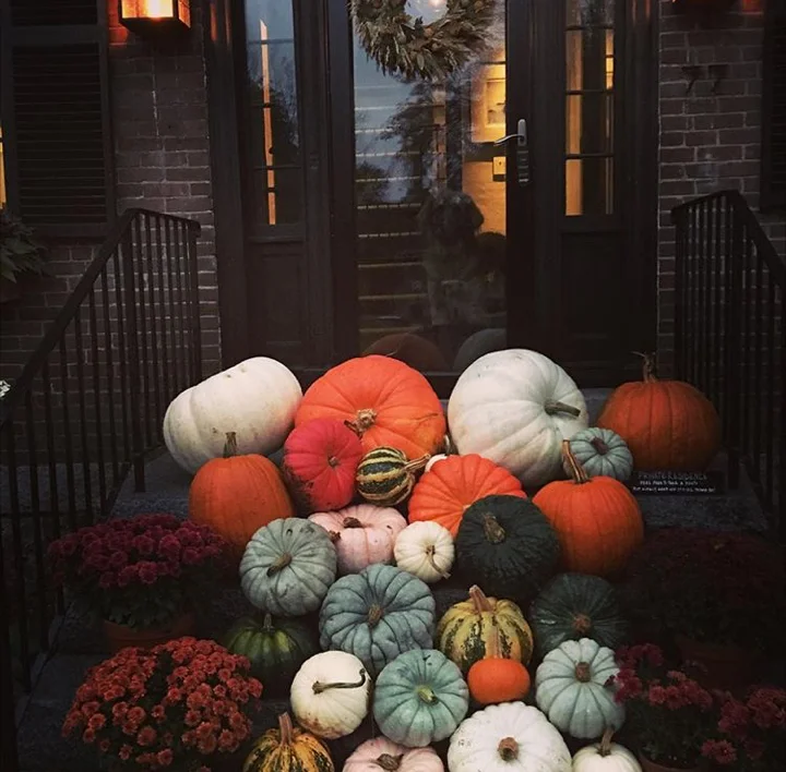 Some beautiful fall color from my dear friend Elizabeth's house in Vermont. 