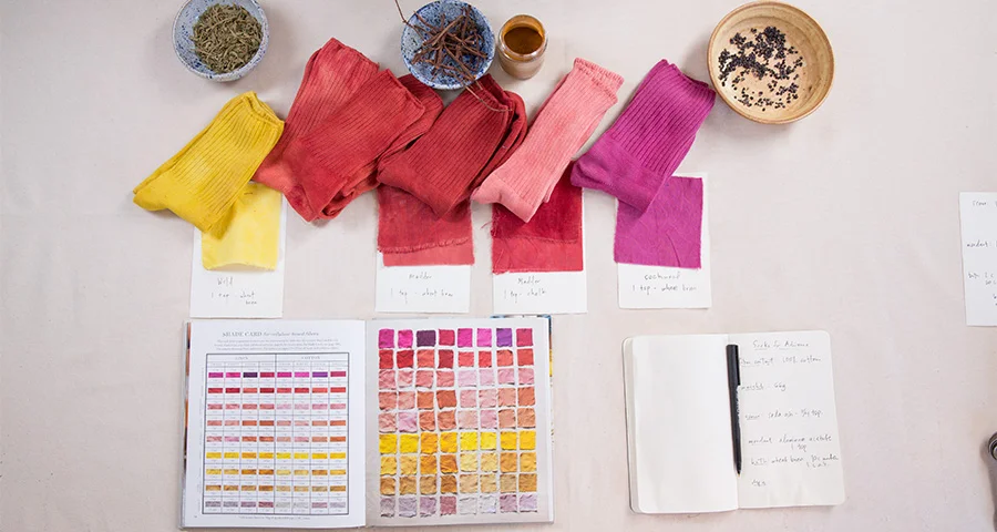 Excerpt from The Modern Natural Dyer