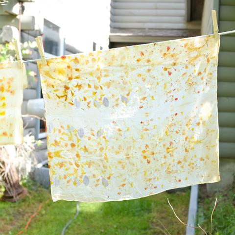 Eco-printing, AVFKW