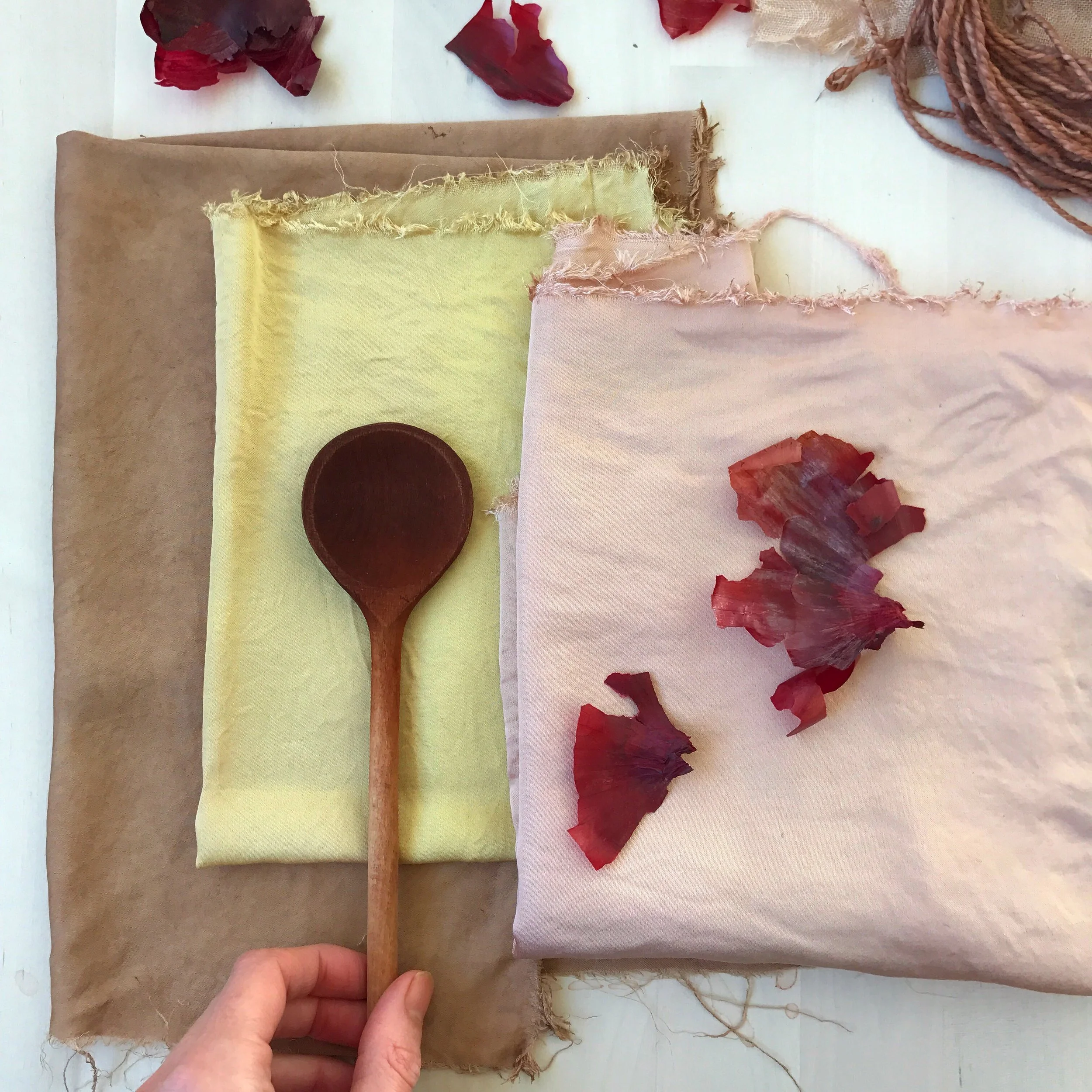 Red Onion Skin Dye from Rebecca Desnos