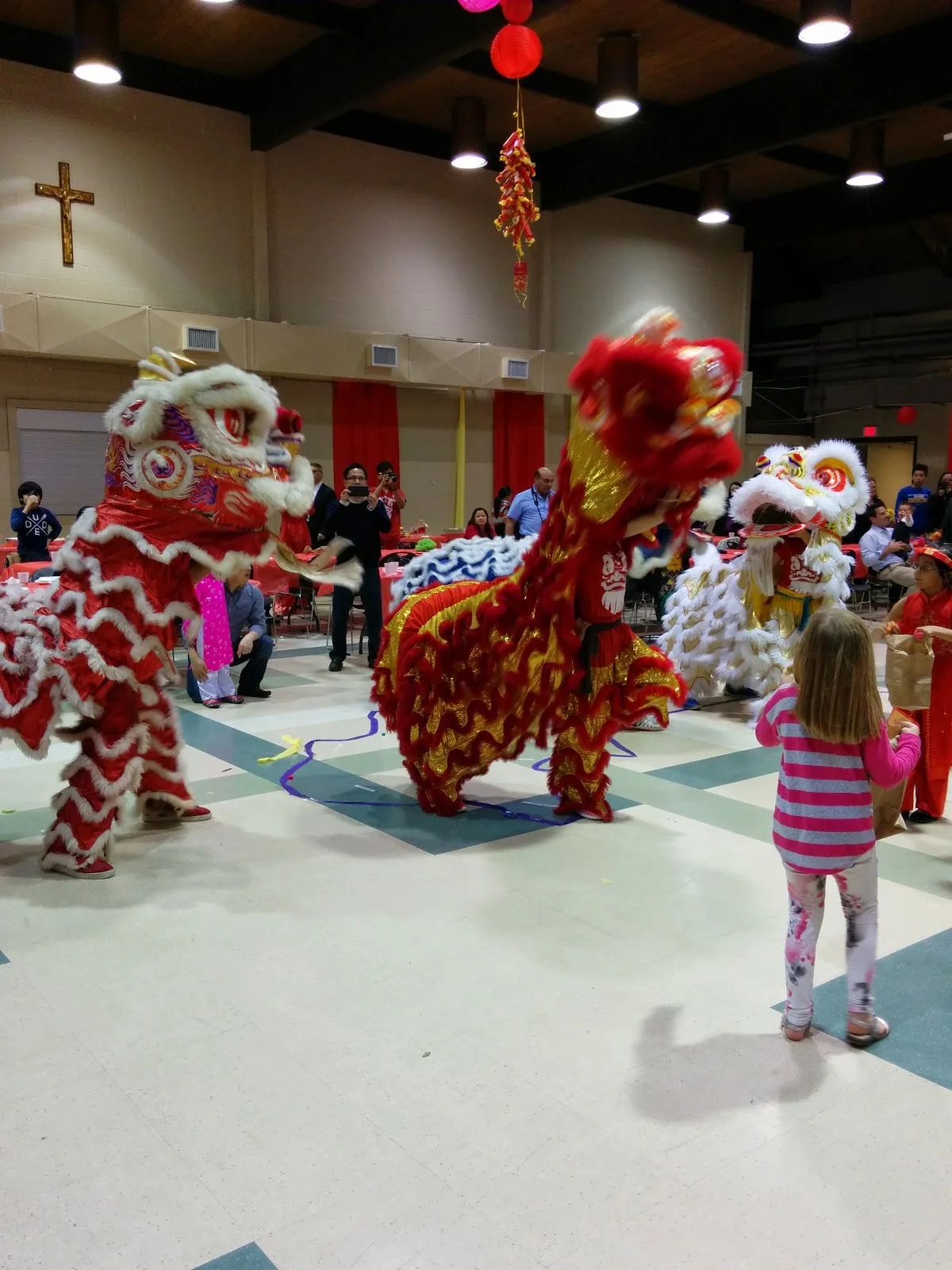 IMG_20150213_211544.jpg