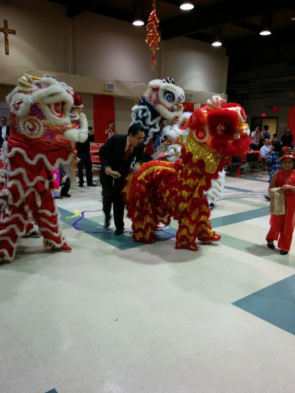 IMG_20150213_211548.jpg