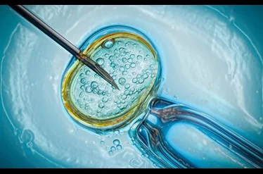 bioethics_pic-ivf.jpg
