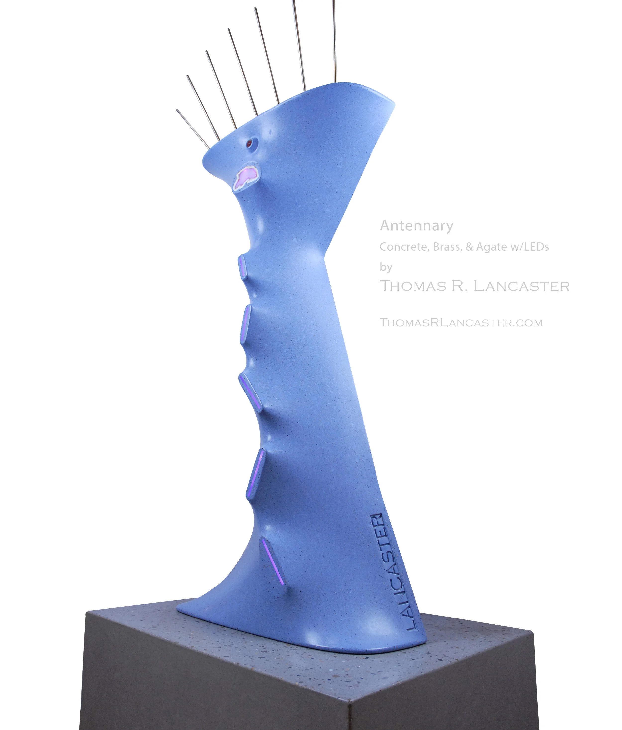 antennary-2.jpg