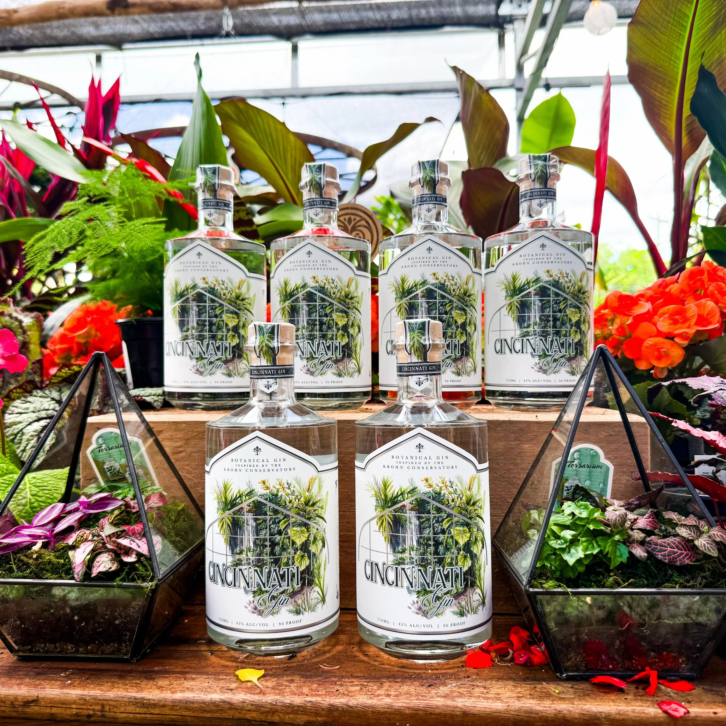 A little preview of what you could be taking home this Saturday 🌺

We&rsquo;re celebrating Cincinnati Gin all day long on May 16 with cocktails, plants from @nativerootscincy, tea from @churchillsteas, and a limited ticketed experience with @mollywe