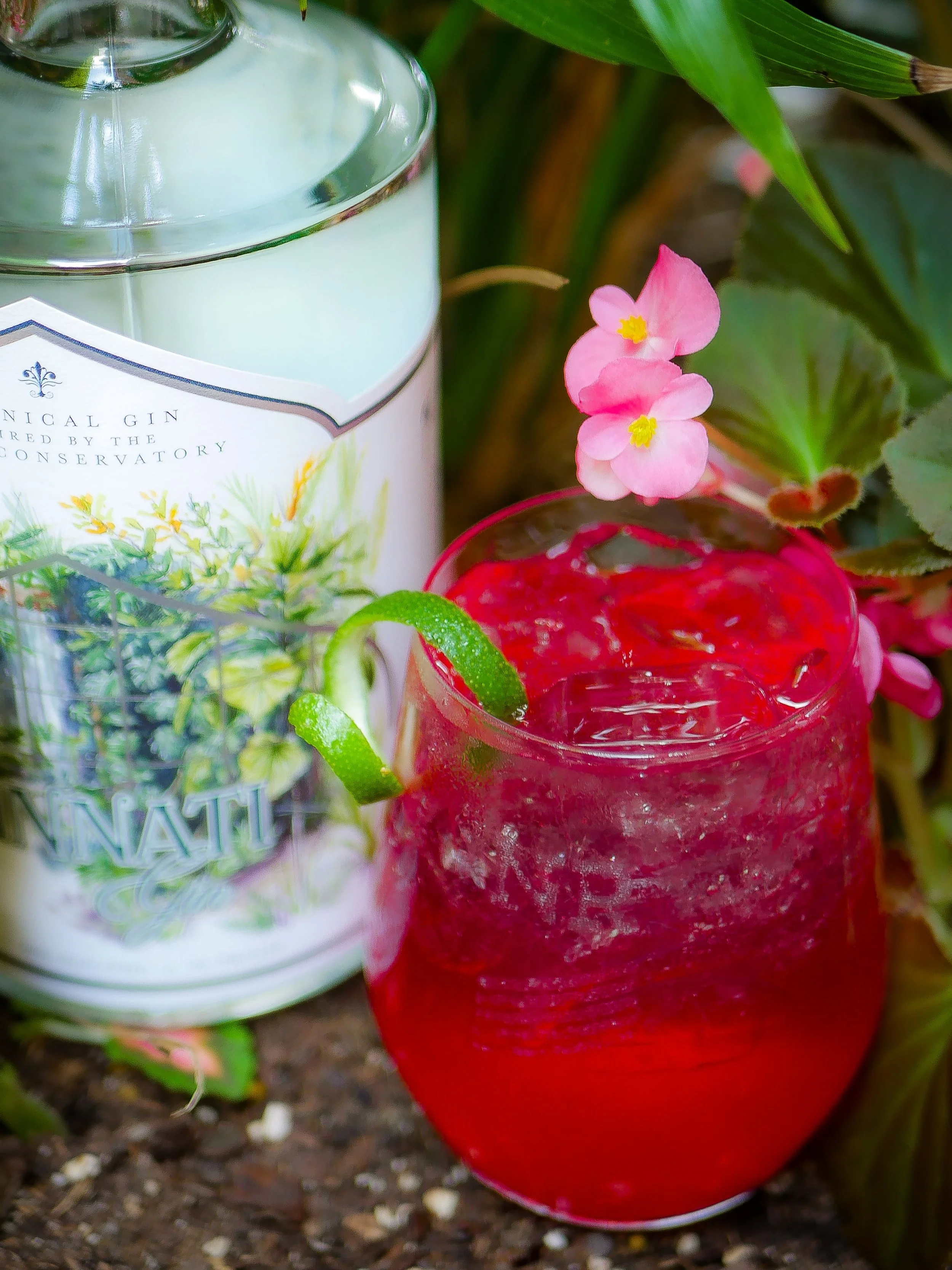 The Patty Anne returns to our summer cocktail menu after making her debut during Women&rsquo;s History Month last spring. Named after our bartender Molly&rsquo;s grandma, this floral gin soda celebrates the vibrant botanicals of Cincinnati Gin in a l