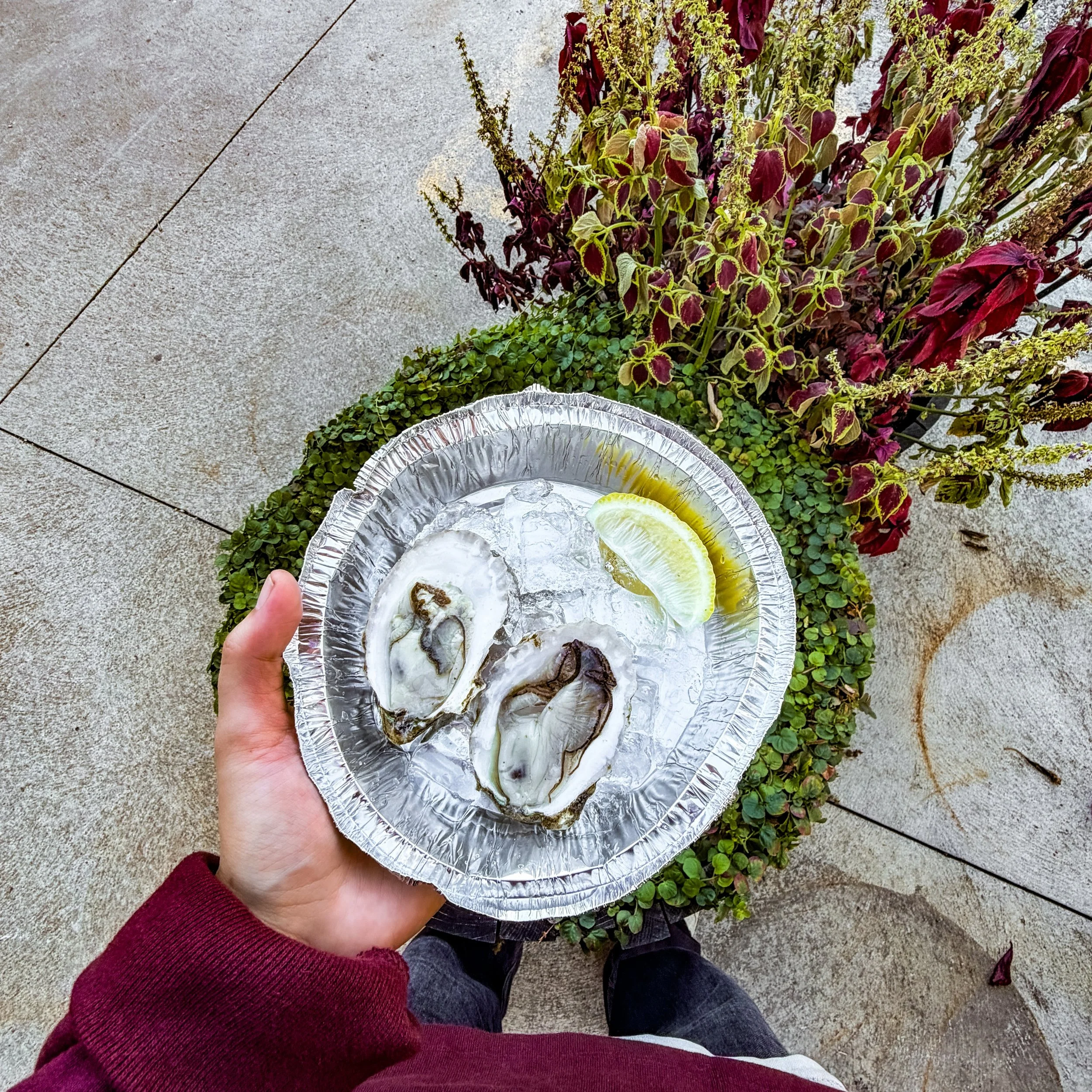 Oysters, orangcello martinis, and Friday night plans? Say less. 🦪🍸

Join us Friday, Oct. 30 from 6pm to 8pm for Oyster Happy Hour with Sen by Kiki. Fresh oysters, orangcello martinis, and a very good reason to kick off the weekend at Northern Row. 
