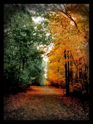 summer into autumn.jpg