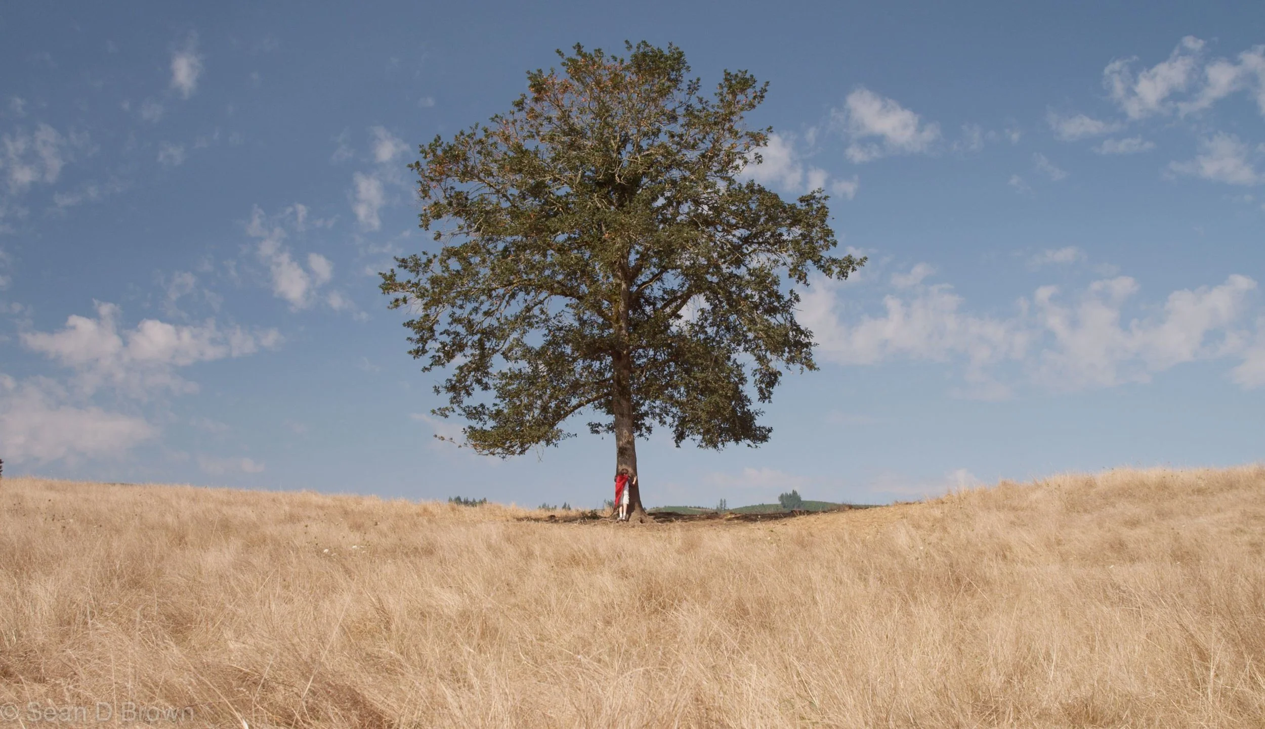 A Pattern For Success