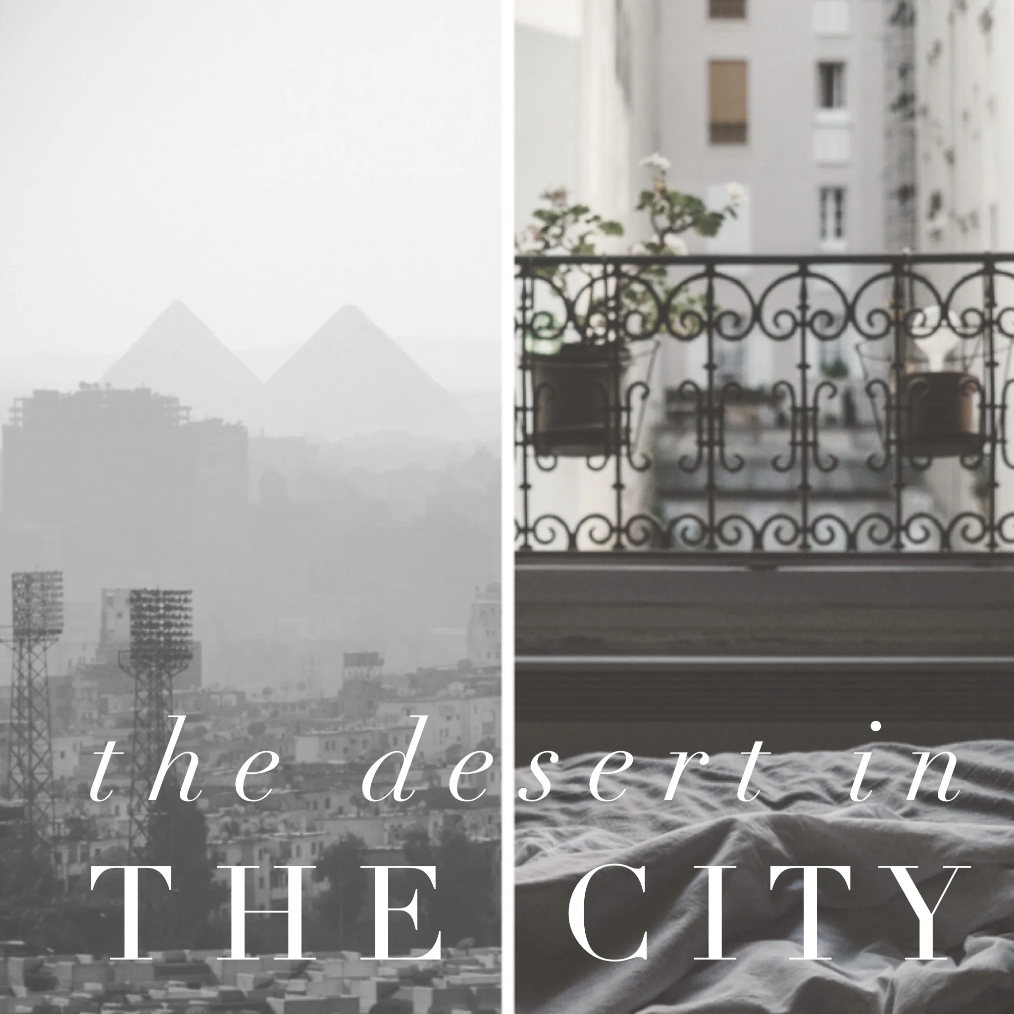 The Desert In The City