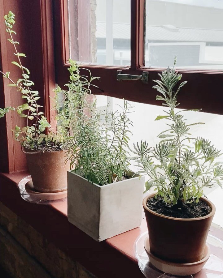 My space has become a bit of a mix between an herb garden and a morroccan conservatory 🌿🪴

It&rsquo;s so calming to relax in the space and over the weekend I was happy to soak it all up, before leaving today for a trip to our company&rsquo;s North 