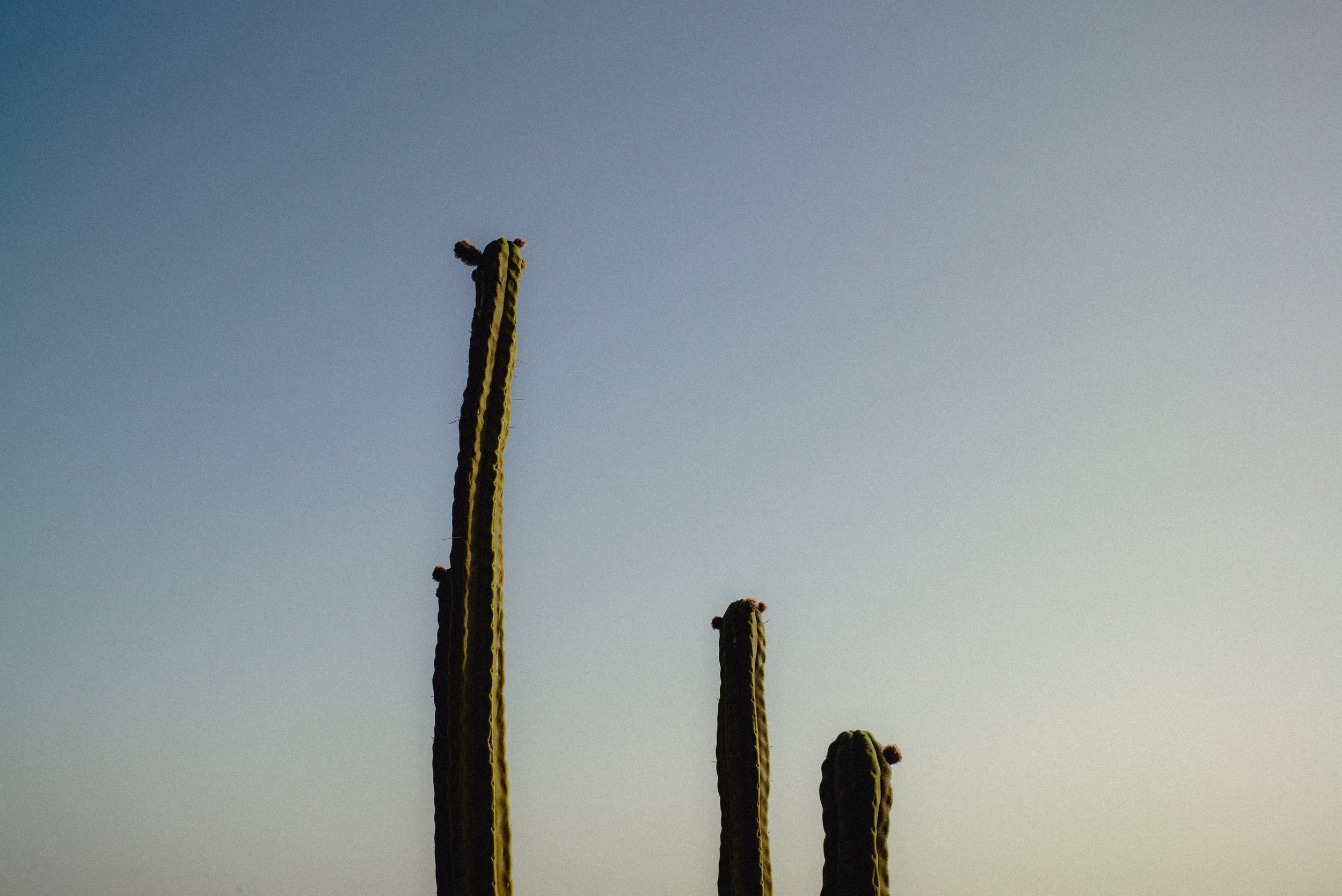 L1006120.jpg