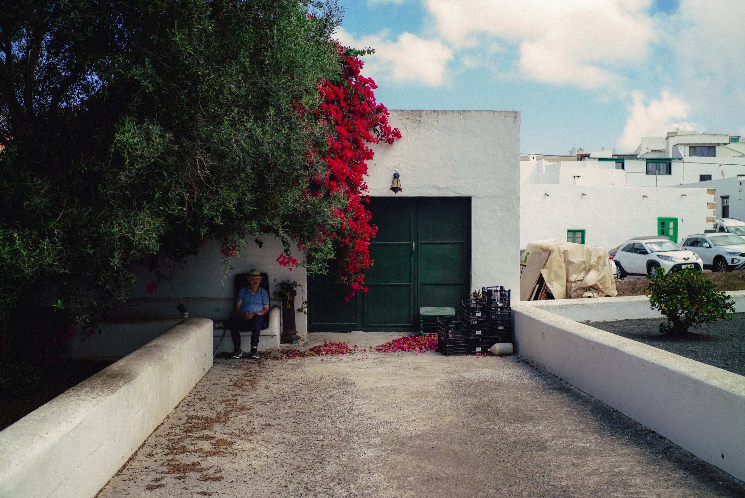 L1006398.jpg