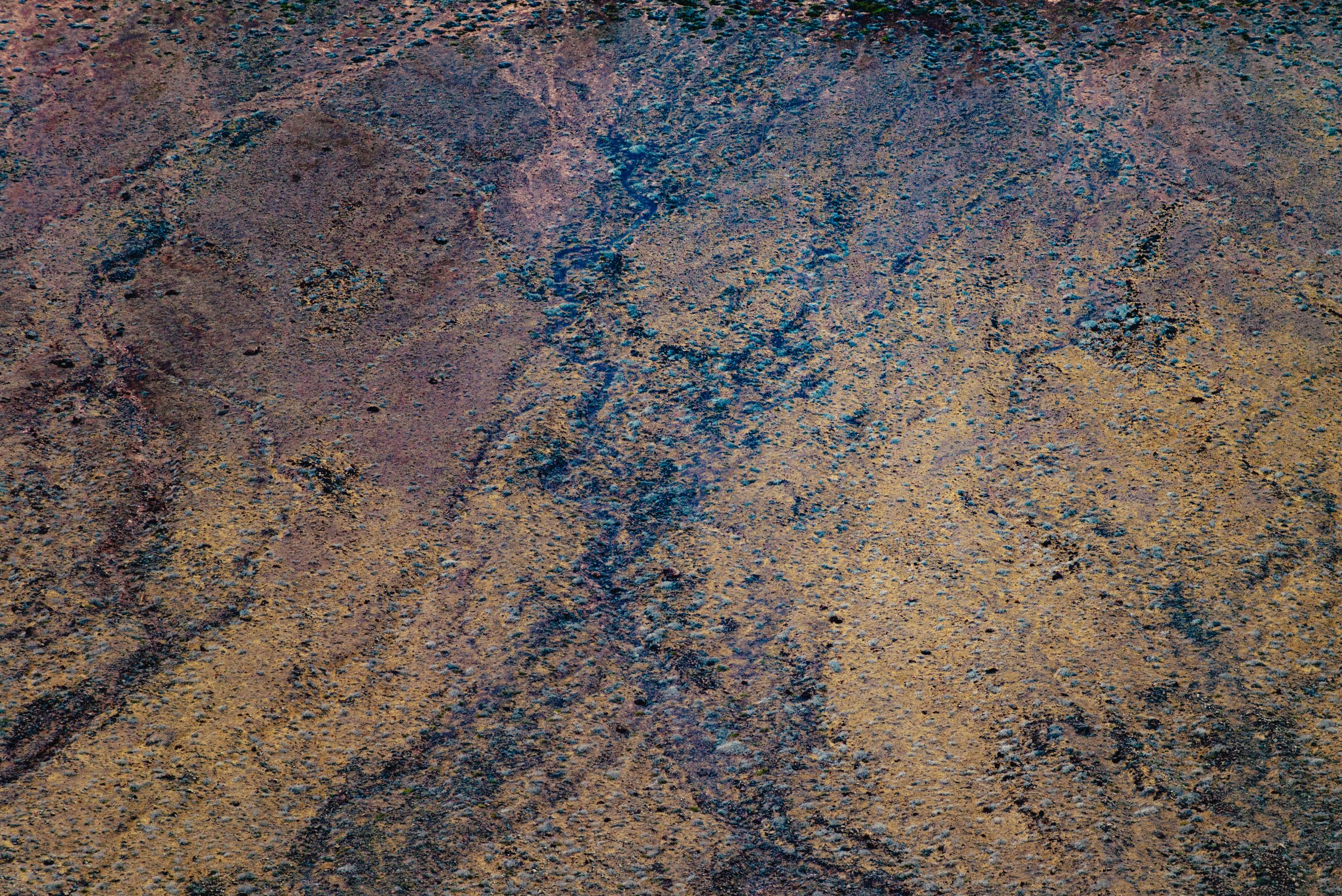 L1006243.jpg