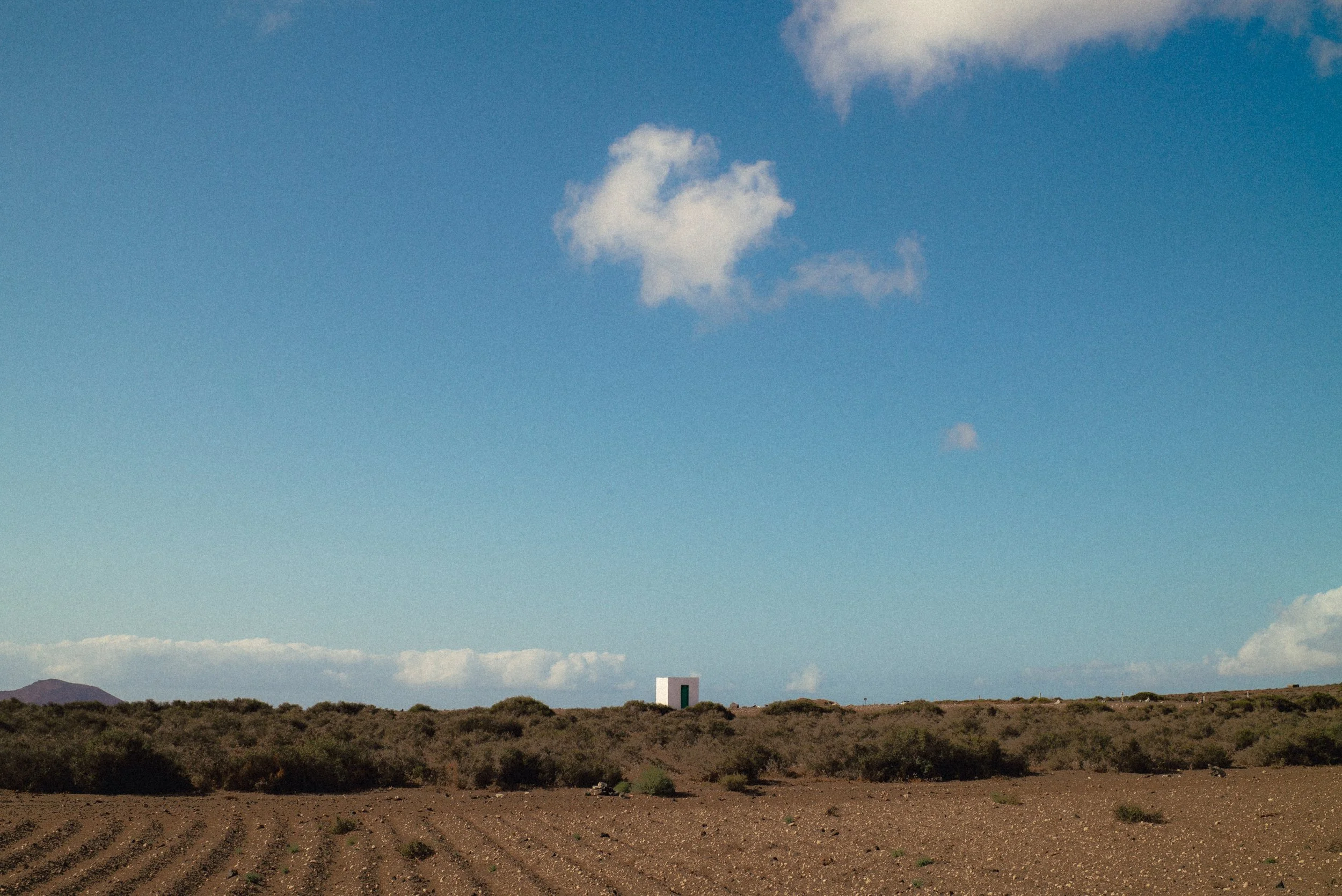 L1006402.jpg