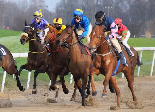 Jockey Silks — Colour Studies