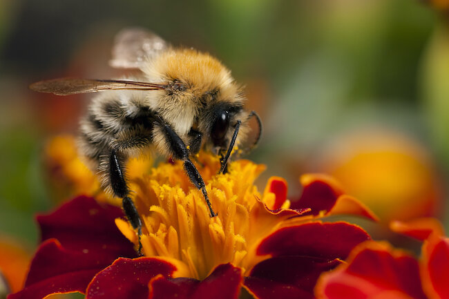 Depositphotos_2381909_xl-2015.jpg
