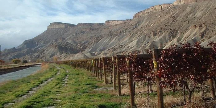 Colorado Wine Country - Palisade, Colorado