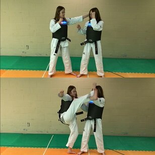 Kicks 차기 — North Battleford Taekwondo Academy