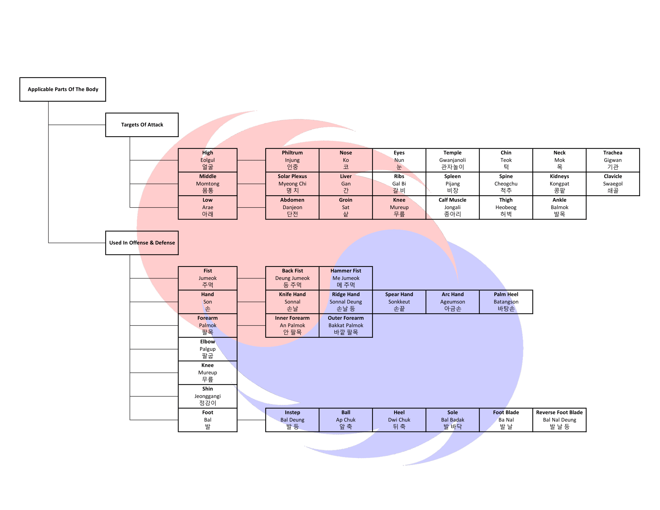 TKD Anatomy Chart.png