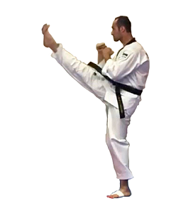 taekwondo techniques for beginners